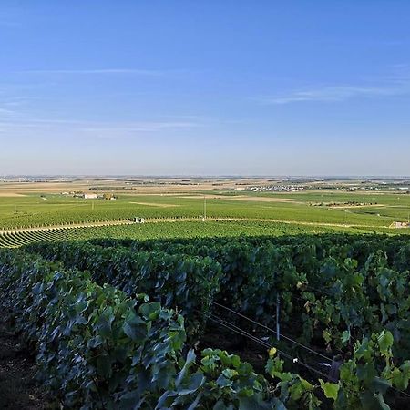 Flavigny Gite "La Bulle De Lena" Avec Petit-Dejeuner Garage Et Parking מראה חיצוני תמונה