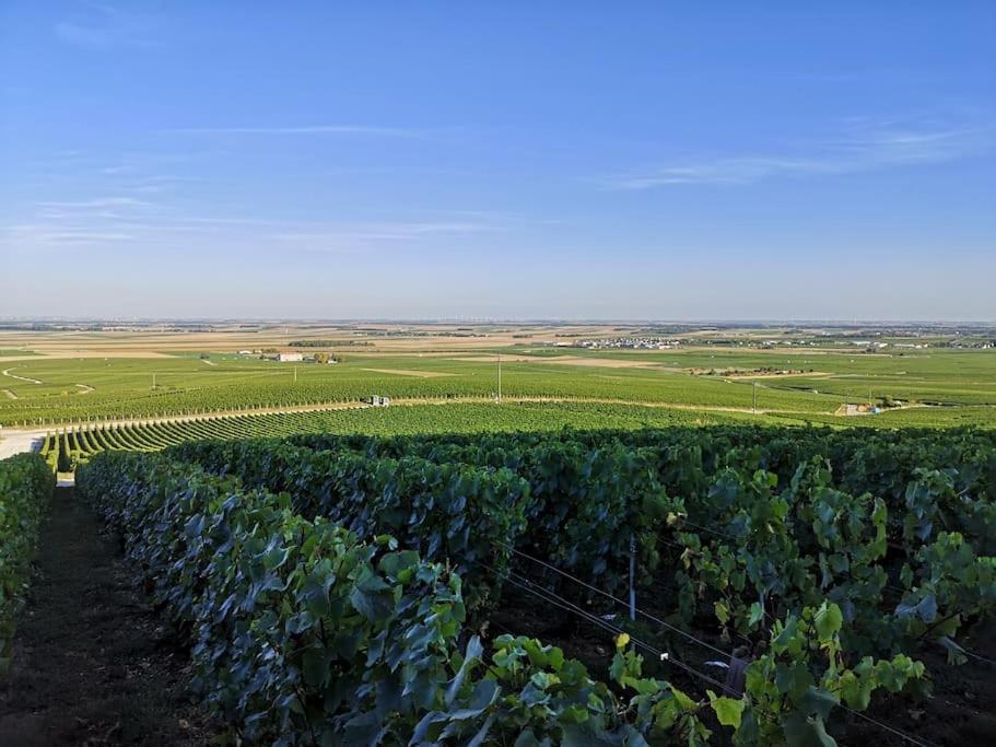 Flavigny Gite "La Bulle De Lena" Avec Petit-Dejeuner Garage Et Parking מראה חיצוני תמונה